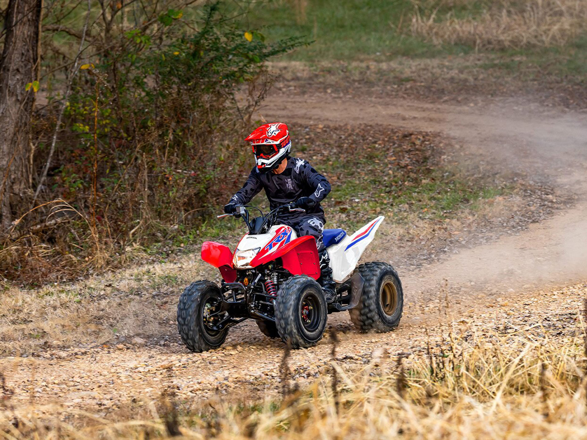 2026 Honda TRX250X in Eugene, Oregon - Photo 10