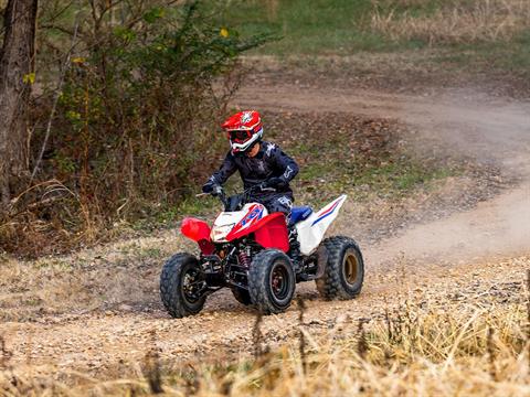 2026 Honda TRX250X in Eugene, Oregon - Photo 10