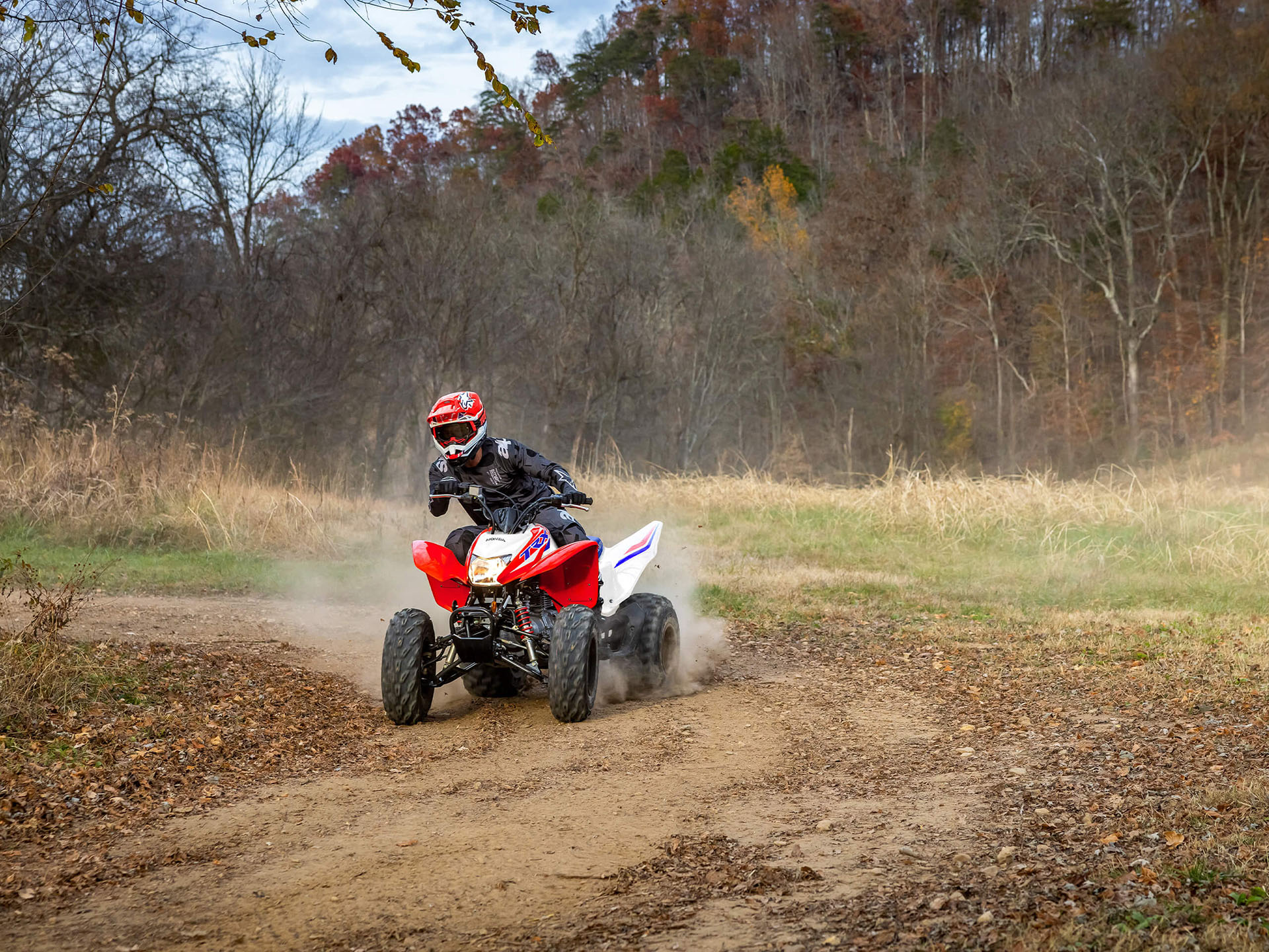 2026 Honda TRX250X in Eugene, Oregon - Photo 13