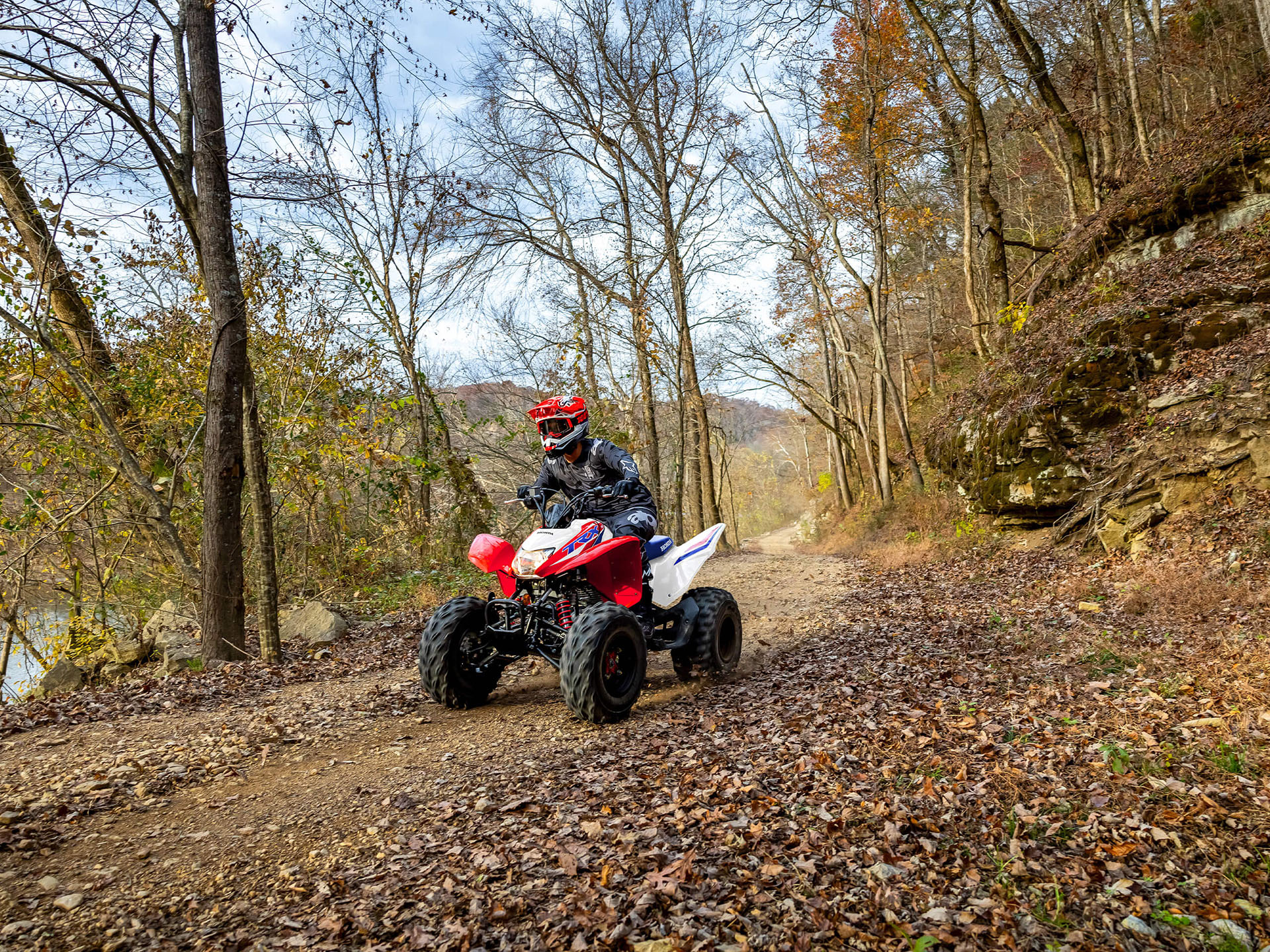 2026 Honda TRX250X in Eugene, Oregon - Photo 14