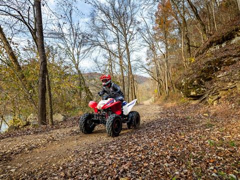 2026 Honda TRX250X in Eugene, Oregon - Photo 14