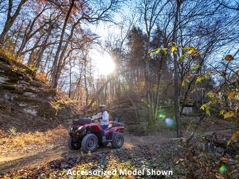 2026 Honda FourTrax Rancher 4x4 Automatic DCT EPS in Hollister, California - Photo 7