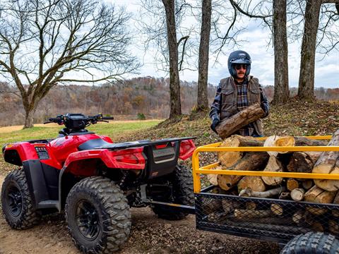 2026 Honda FourTrax Rubicon 700 4x4 Automatic in West Bridgewater, Massachusetts - Photo 16