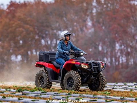 2026 Honda FourTrax Rubicon 700 4x4 Automatic in West Bridgewater, Massachusetts - Photo 19