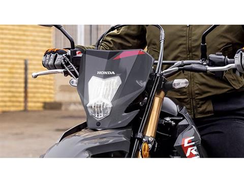 2025 Honda CRF300LS in Long Island City, New York - Photo 7