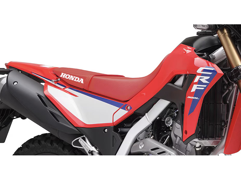 2025 Honda CRF300L ABS in Hollister, California - Photo 8