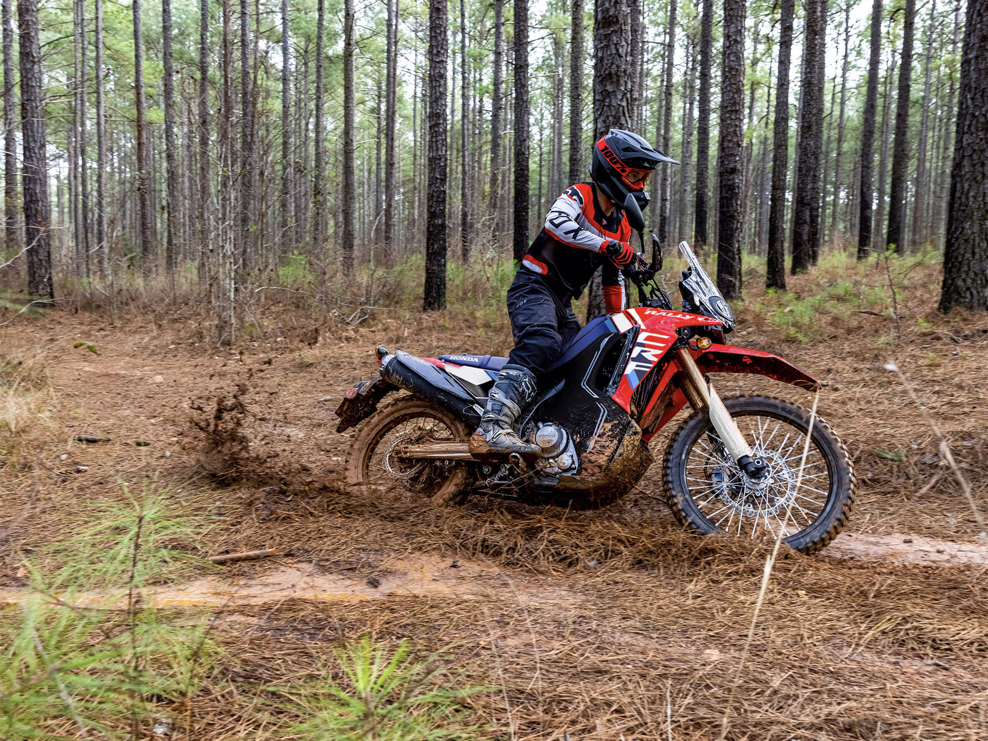 2025 Honda CRF300L Rally ABS in Hollister, California - Photo 10