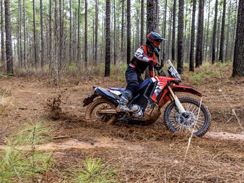 2025 Honda CRF300L Rally ABS in Hollister, California - Photo 10