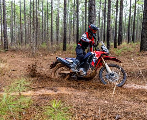 2026 Honda CRF300L Rally ABS in Greenville, Texas - Photo 6