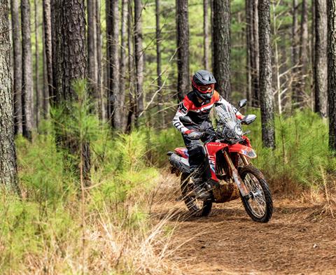 2026 Honda CRF300L Rally ABS in Greenville, Texas - Photo 7