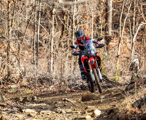 2026 Honda CRF300L Rally ABS in Greenville, Texas - Photo 8
