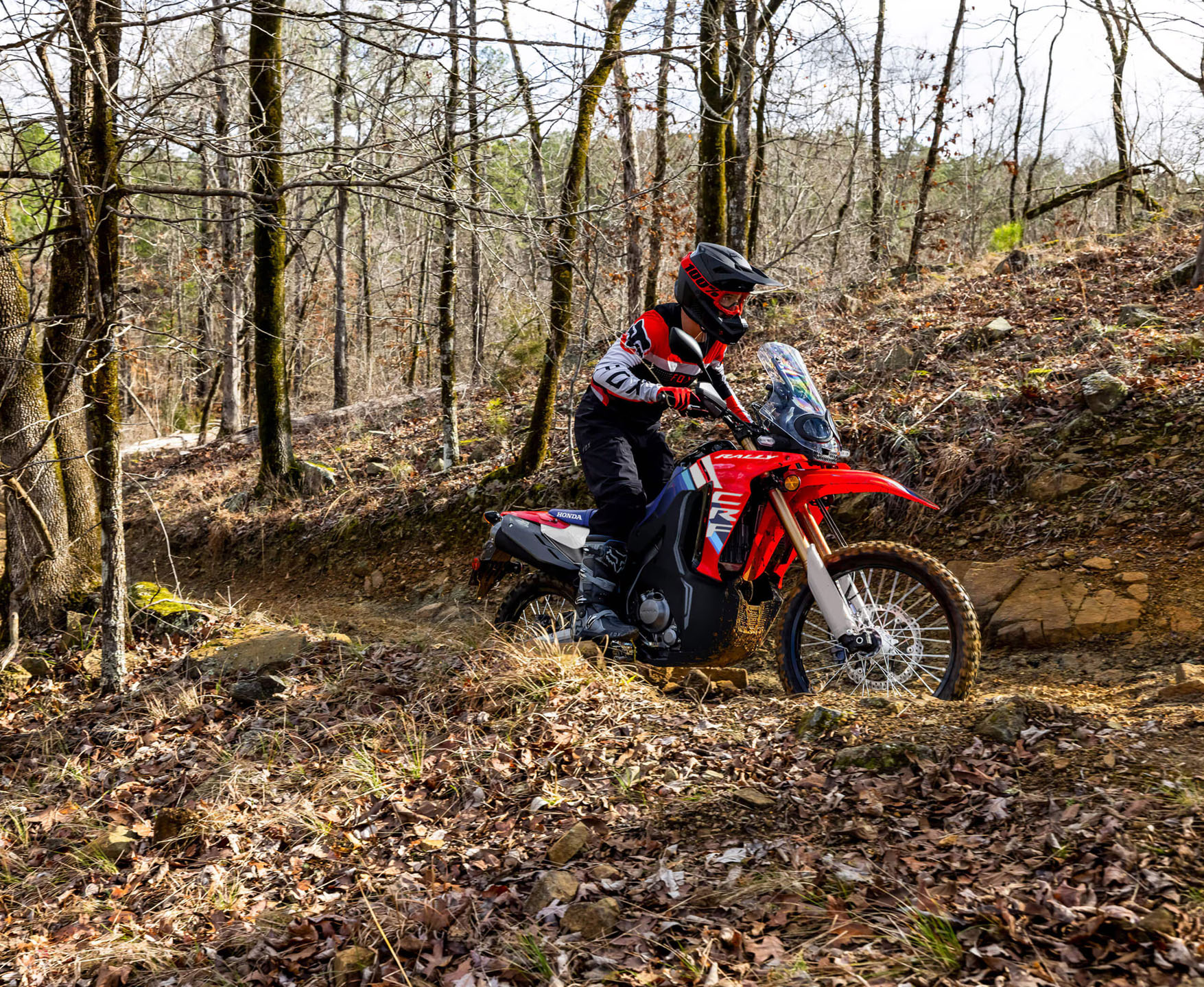 2026 Honda CRF300L Rally ABS in Greenville, Texas - Photo 9