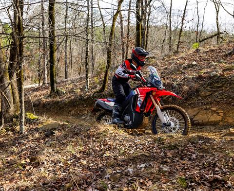 2026 Honda CRF300L Rally ABS in Greenville, Texas - Photo 9
