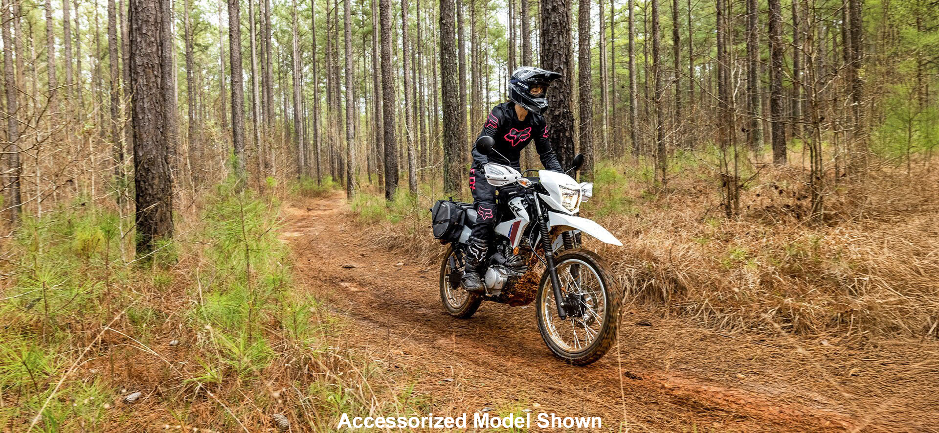 2026 Honda XR150L in Paducah, Kentucky - Photo 3