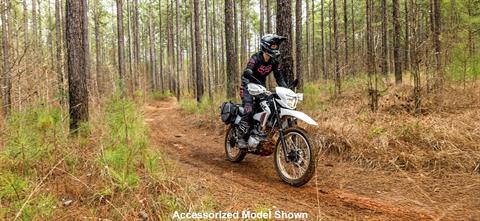 2026 Honda XR150L in Paducah, Kentucky - Photo 3