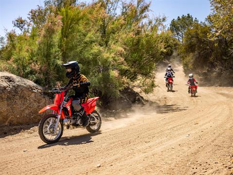 2026 Honda CRF110F in Marietta, Ohio - Photo 8