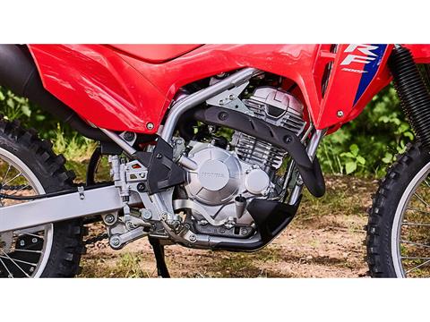 2026 Honda CRF300F in West Bridgewater, Massachusetts - Photo 7