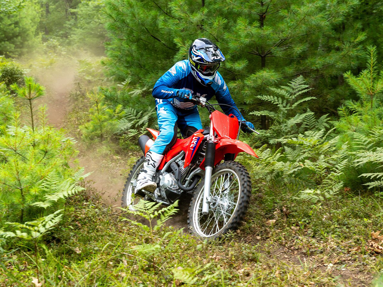 2026 Honda CRF300F in West Bridgewater, Massachusetts - Photo 11