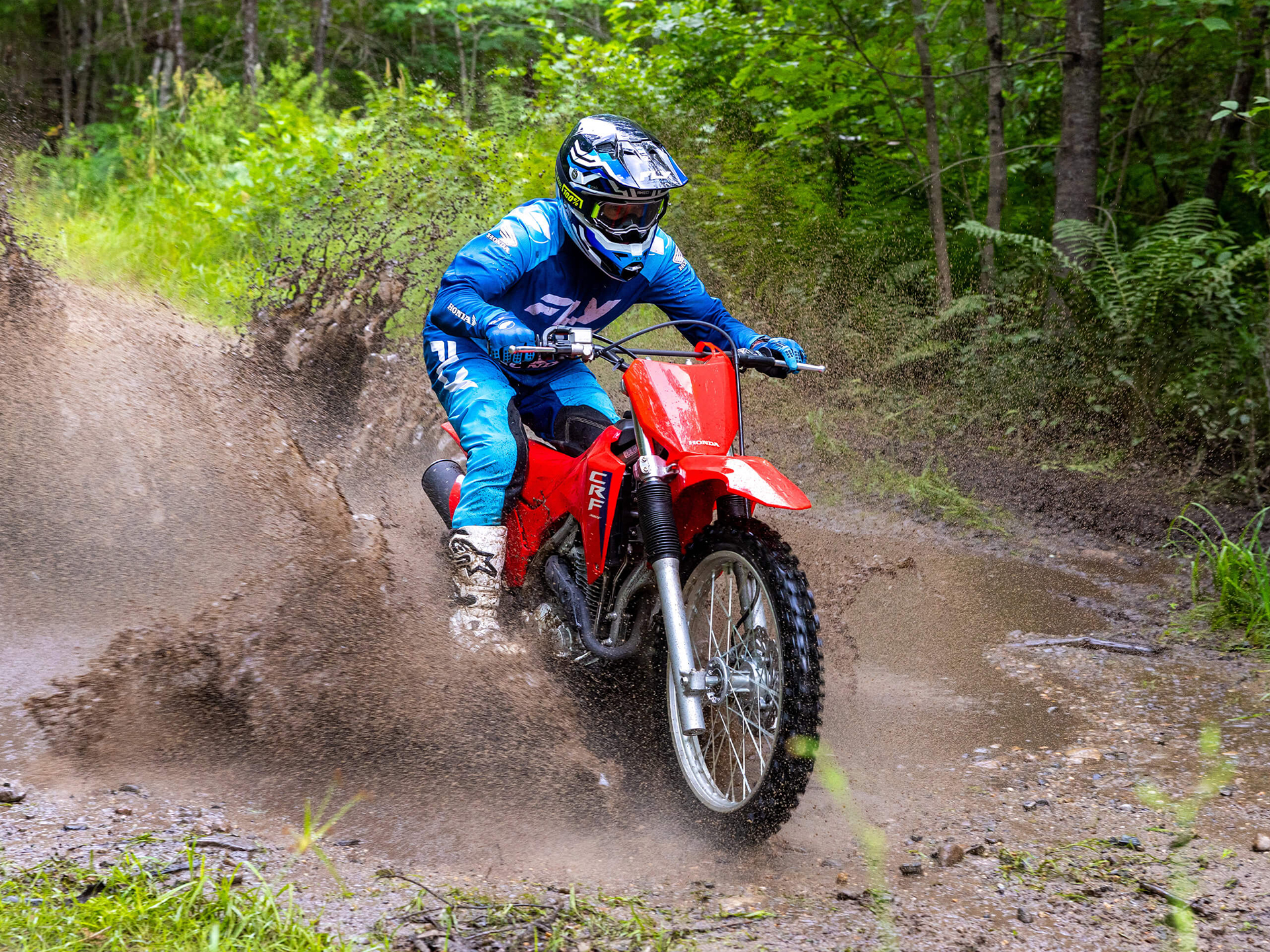 2026 Honda CRF300F in West Bridgewater, Massachusetts - Photo 12