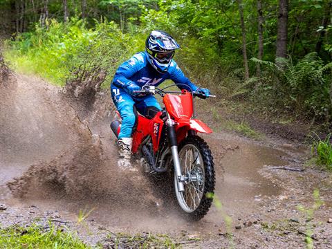 2026 Honda CRF300F in West Bridgewater, Massachusetts - Photo 12