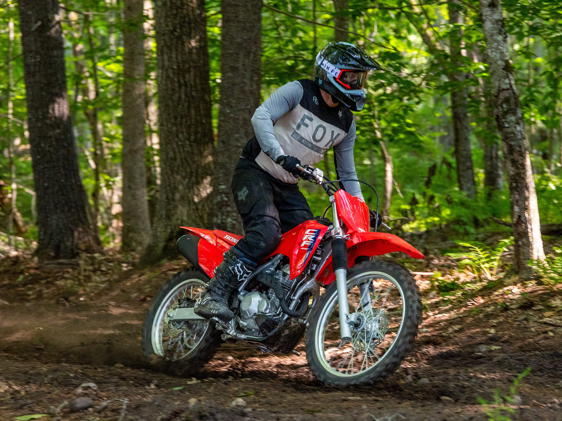 2026 Honda CRF300F in West Bridgewater, Massachusetts - Photo 13