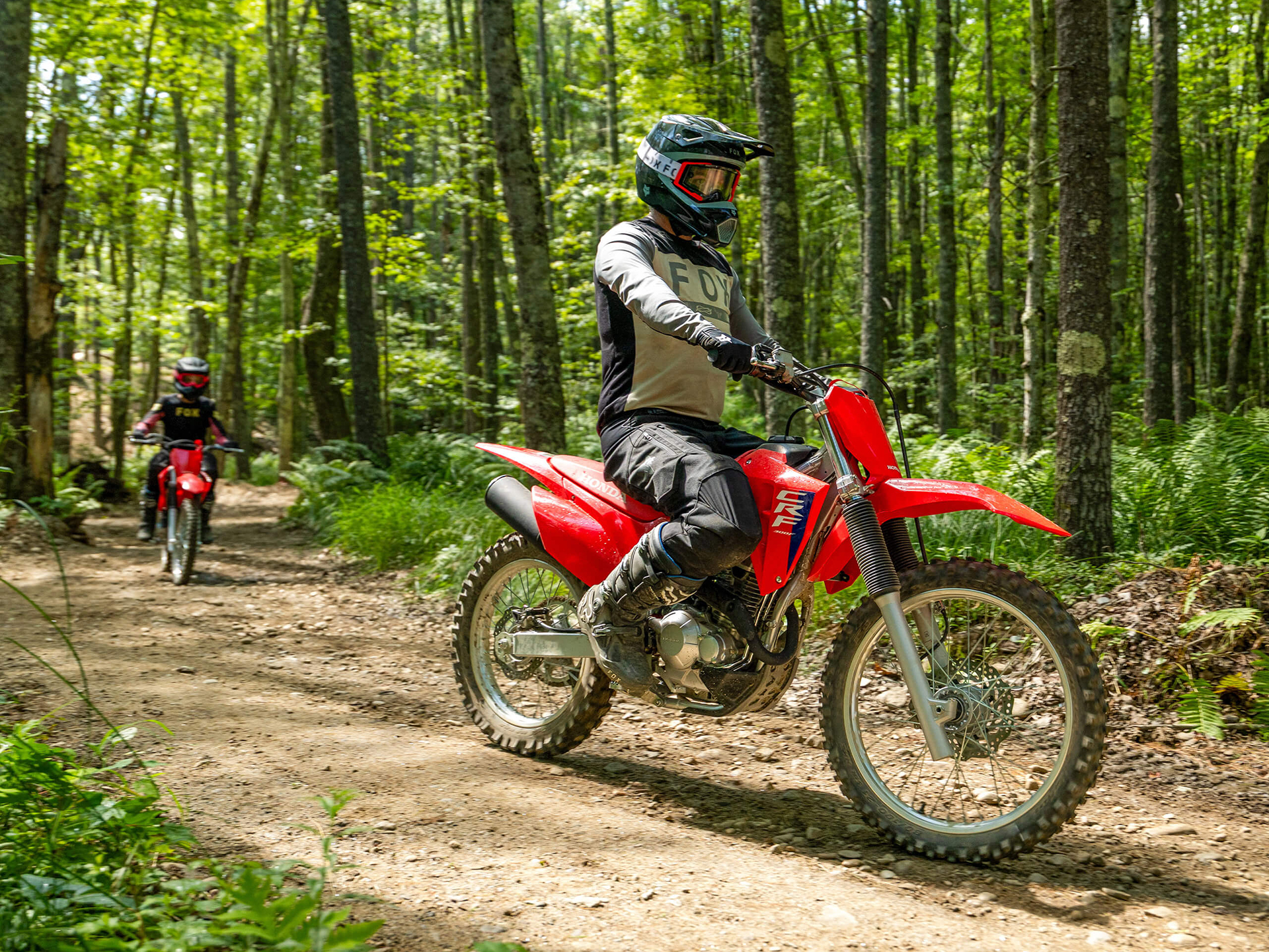 2026 Honda CRF300F in West Bridgewater, Massachusetts - Photo 15