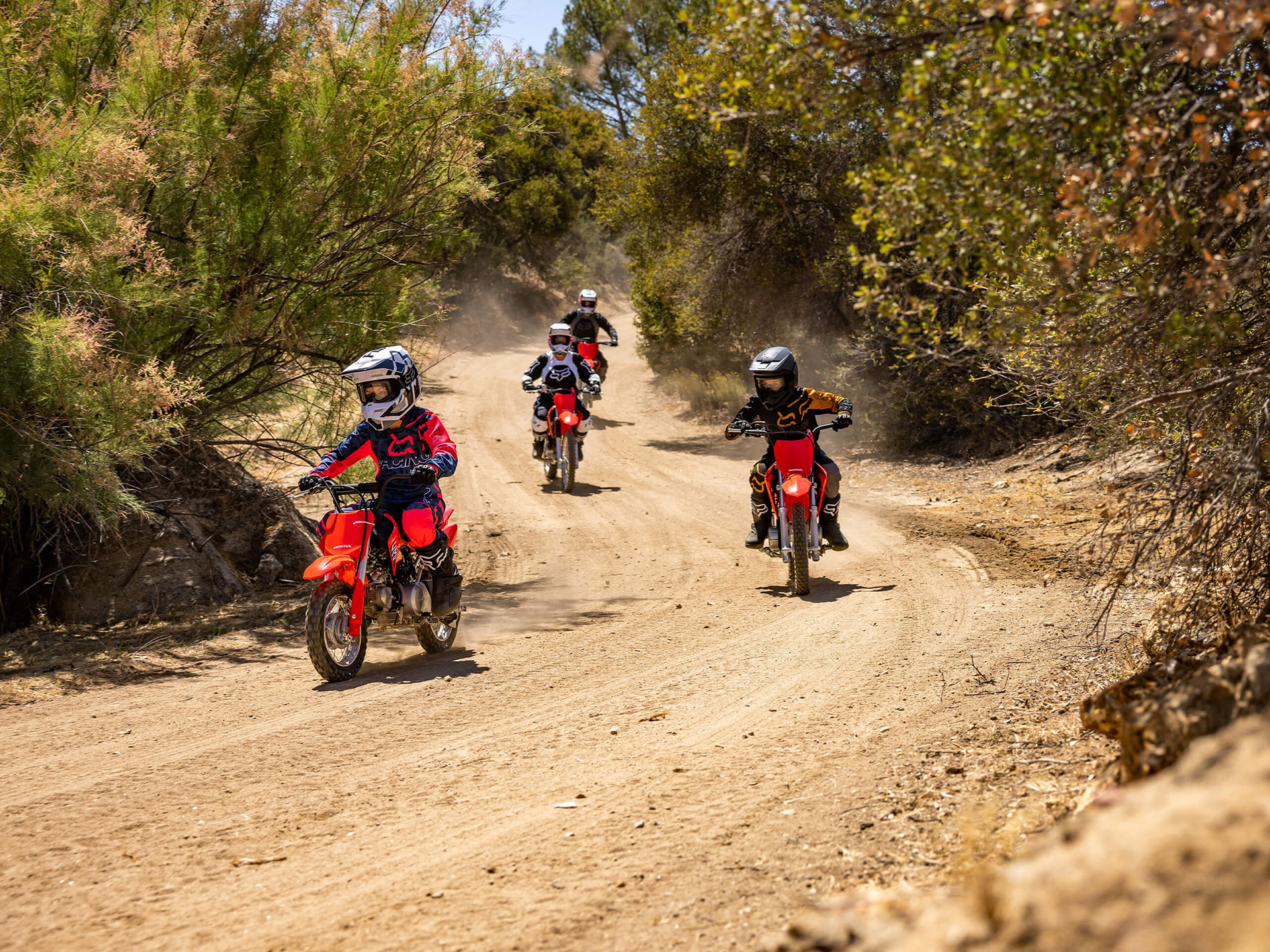 2026 Honda CRF50F in North Mankato, Minnesota - Photo 10