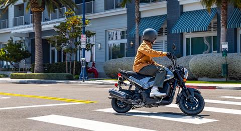 2026 Honda Navi in Hollister, California - Photo 16