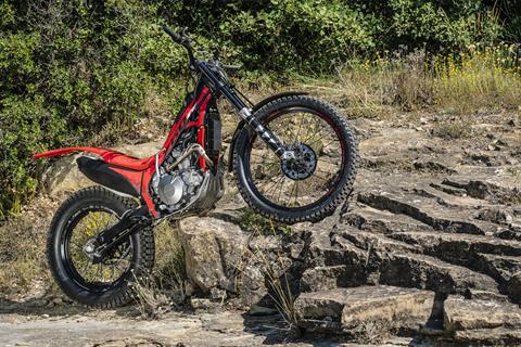 2026 Honda Montesa Cota 4RT 260R in West Bridgewater, Massachusetts - Photo 11