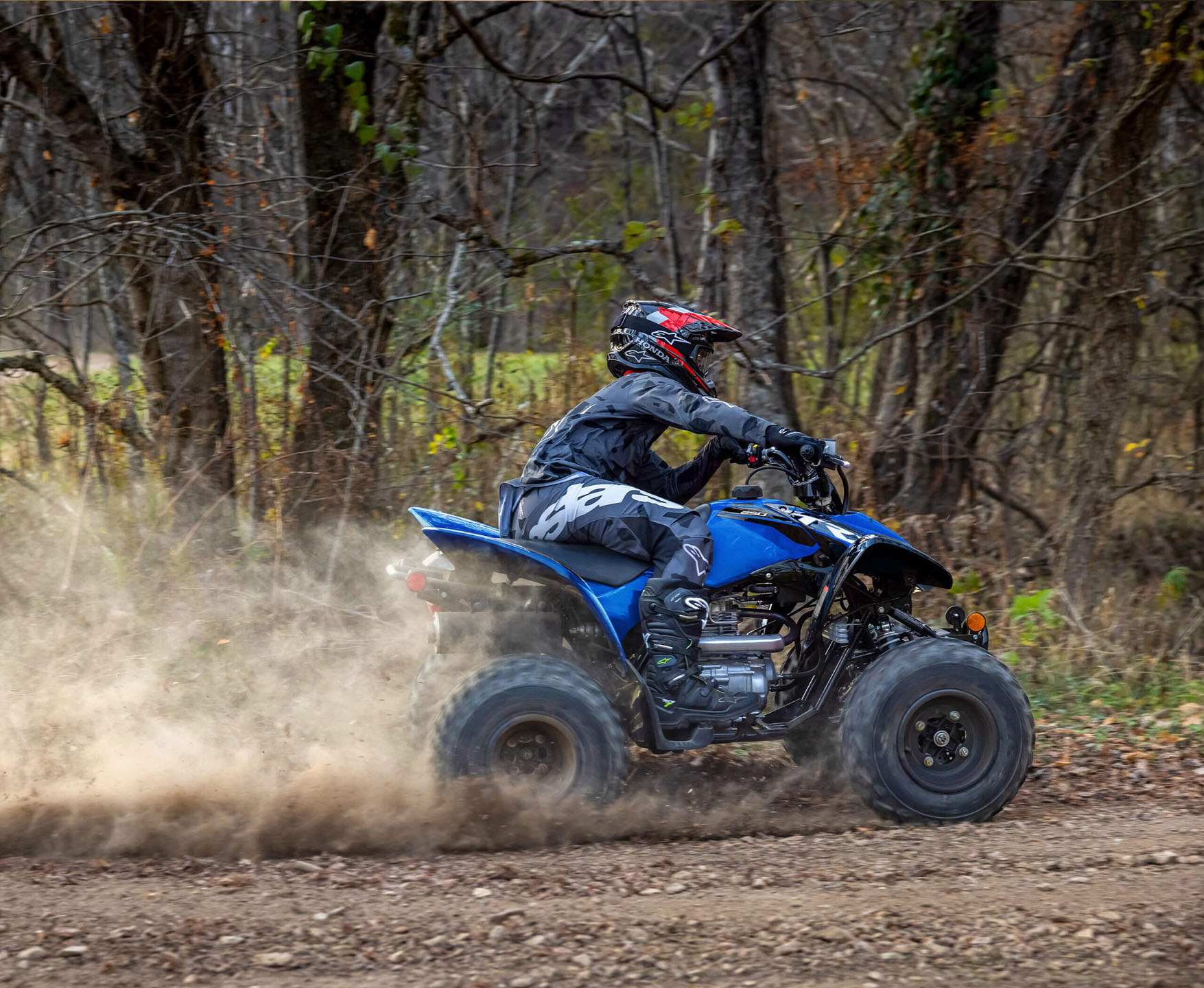 【最安値】TRX New 2027 Honda TRX250X Racing Blue ATVs For Sale in Tarentum