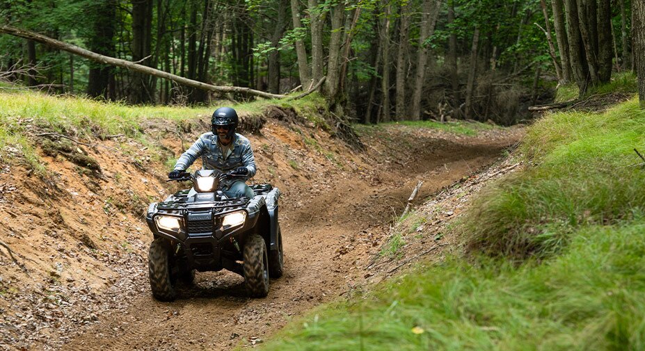 2027 Honda FourTrax Foreman 4x4 in Honey Brook, Pennsylvania - Photo 17