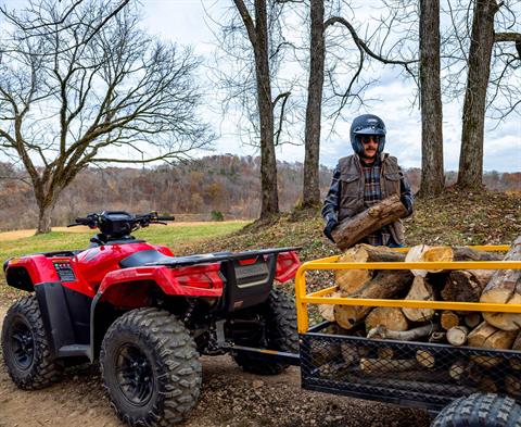 2027 Honda FourTrax Rubicon 700 4x4 Automatic in Honey Brook, Pennsylvania - Photo 16
