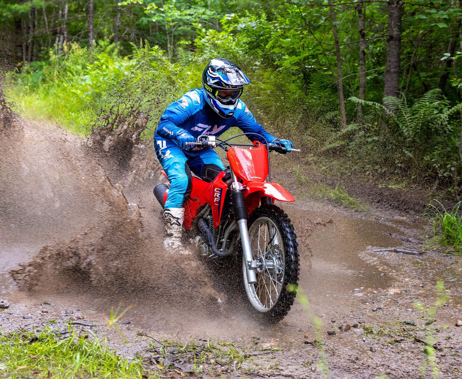 2027 Honda CRF300F in Burlington, Washington - Photo 13
