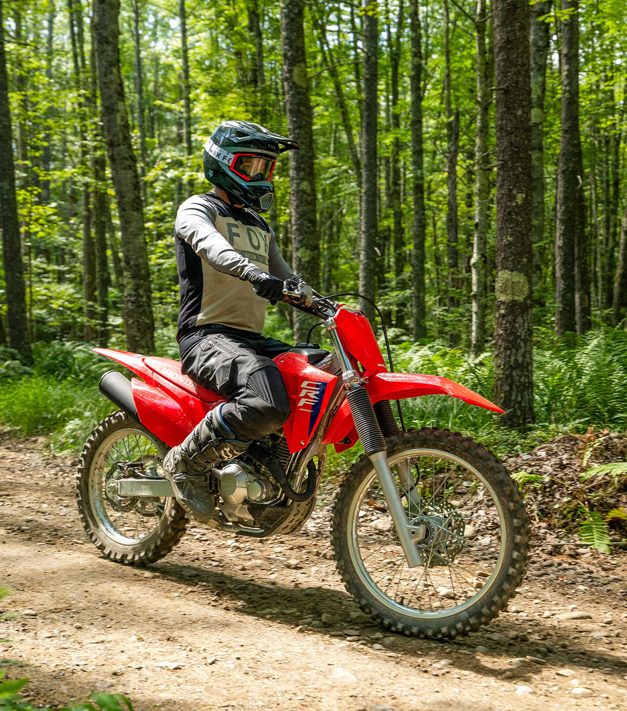 2027 Honda CRF300F in Burlington, Washington - Photo 17