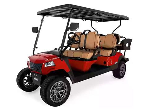 2024 Honor LSV G1 4+2