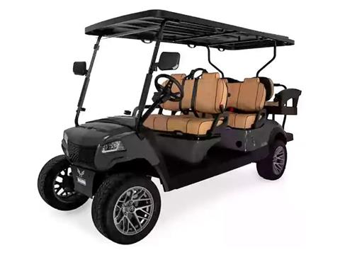 2025 Honor LSV G1 4+2