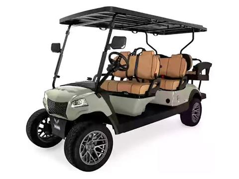 2025 Honor LSV G1 4+2