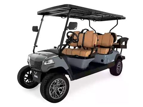 2025 Honor LSV G1 4+2