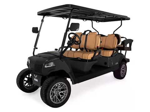 2025 Honor LSV G1 4+2