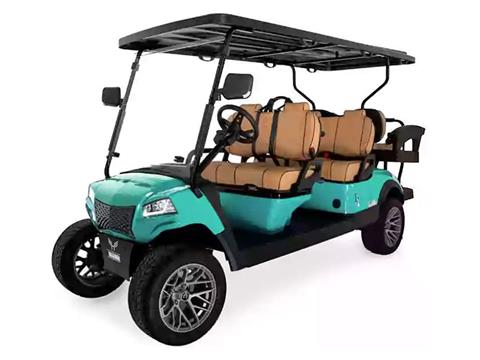 2025 Honor LSV G1 4+2