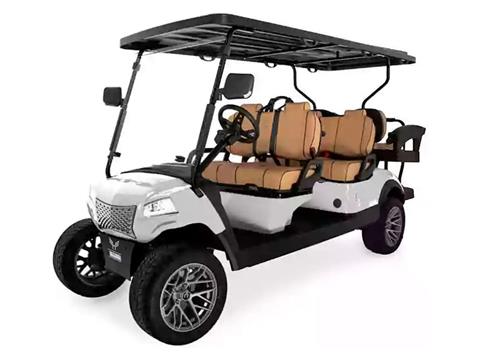 2025 Honor LSV G1 4+2