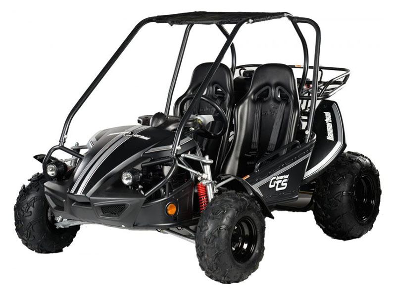 2024 Hammerhead Off-Road GTS 150 in Pine Bluff, Arkansas - Photo 1