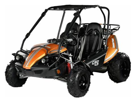 2025 Hammerhead Off-Road GTS 150 in Pine Bluff, Arkansas - Photo 2