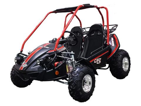 2026 Hammerhead Off-Road GTS Platinum