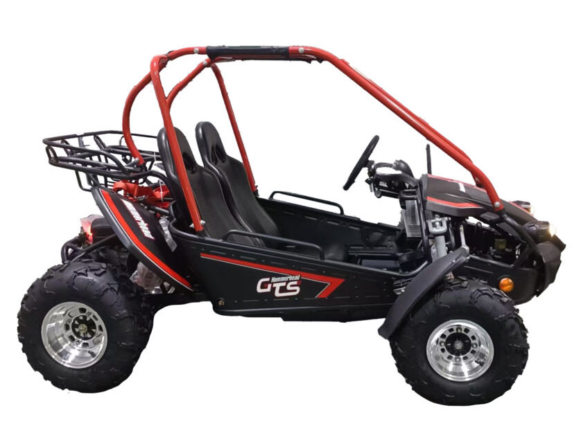 2026 Hammerhead Off-Road GTS Platinum in Pine Bluff, Arkansas - Photo 2