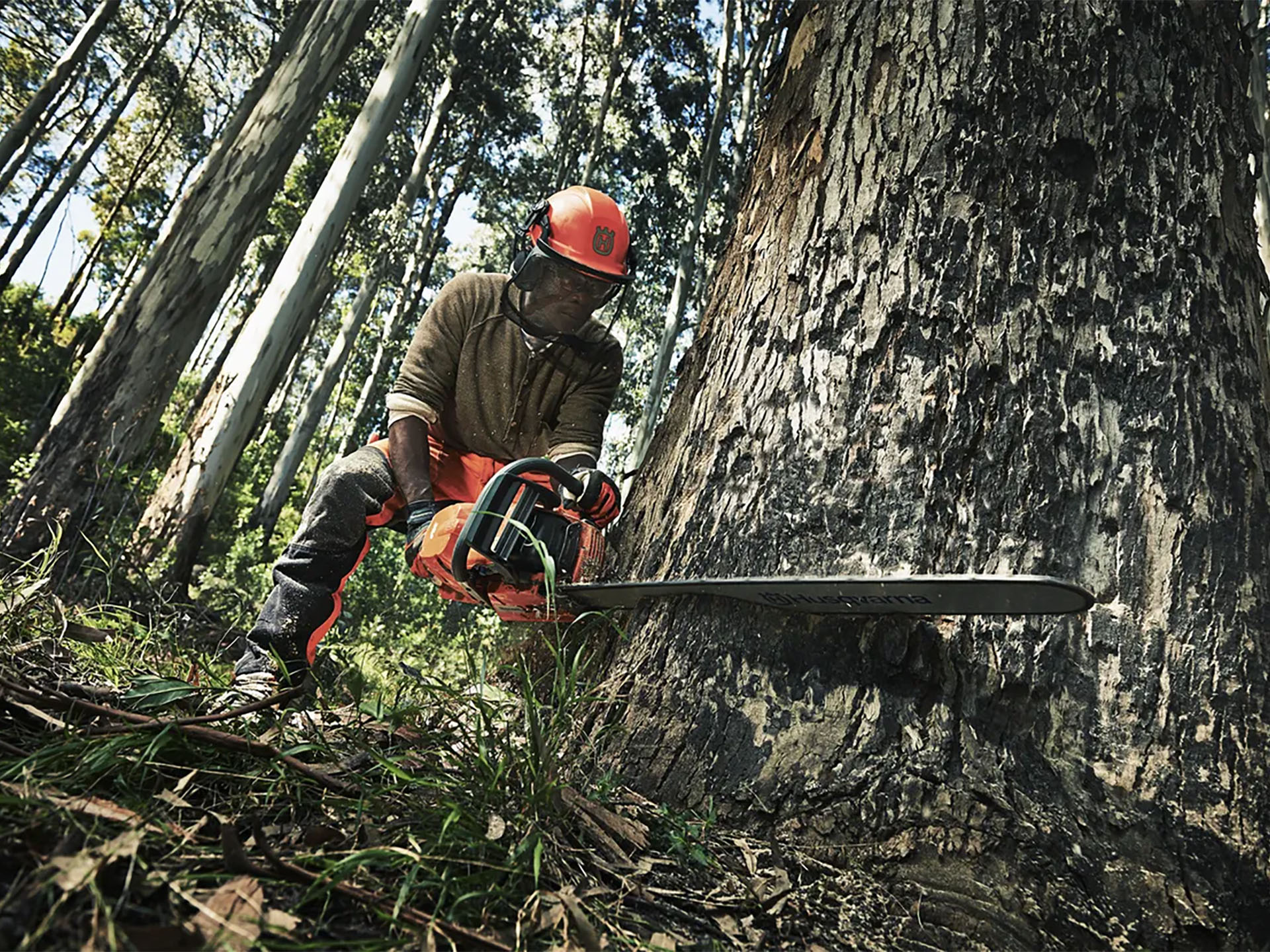 Husqvarna Power Equipment 390 XP 28 in. H83 in Saint Maries, Idaho - Photo 6