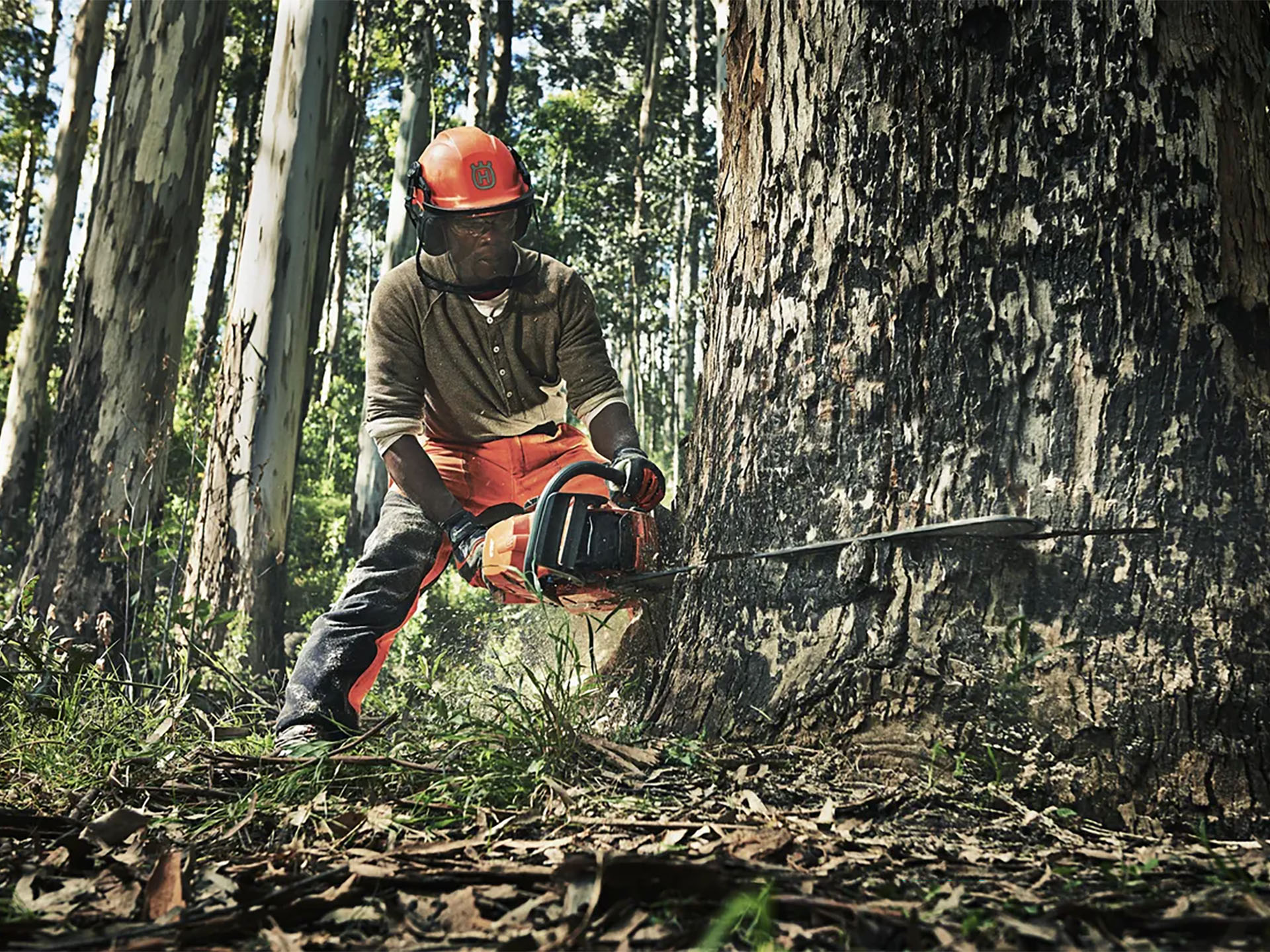 Husqvarna Power Equipment 390 XP 28 in. H83 in Saint Maries, Idaho - Photo 7