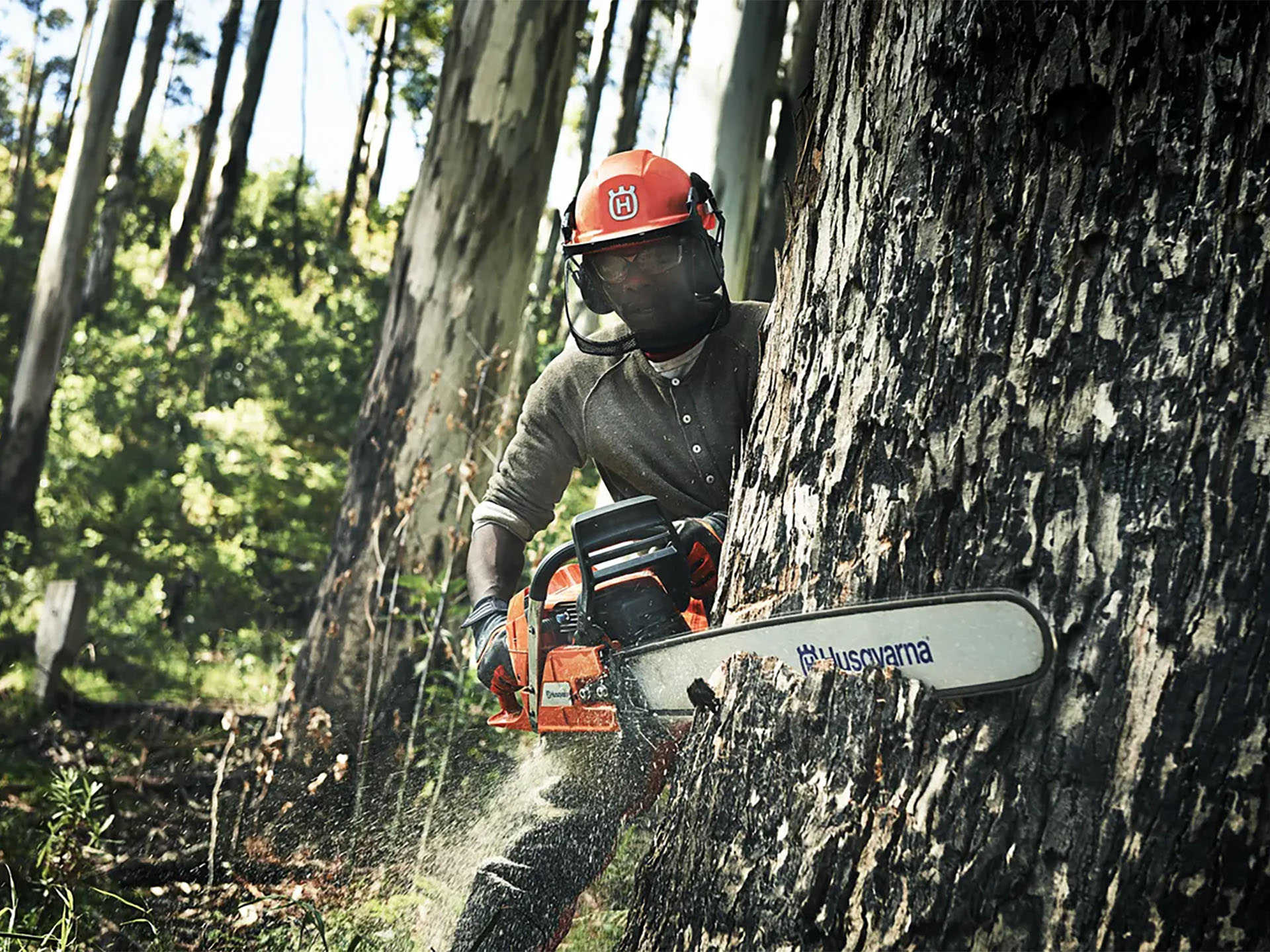 Husqvarna Power Equipment 390 XP 28 in. H83 in Saint Maries, Idaho - Photo 8