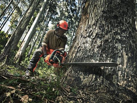 Husqvarna Power Equipment 390 XP 28 in. US Lightweight RSN C83 in Saint Maries, Idaho - Photo 6