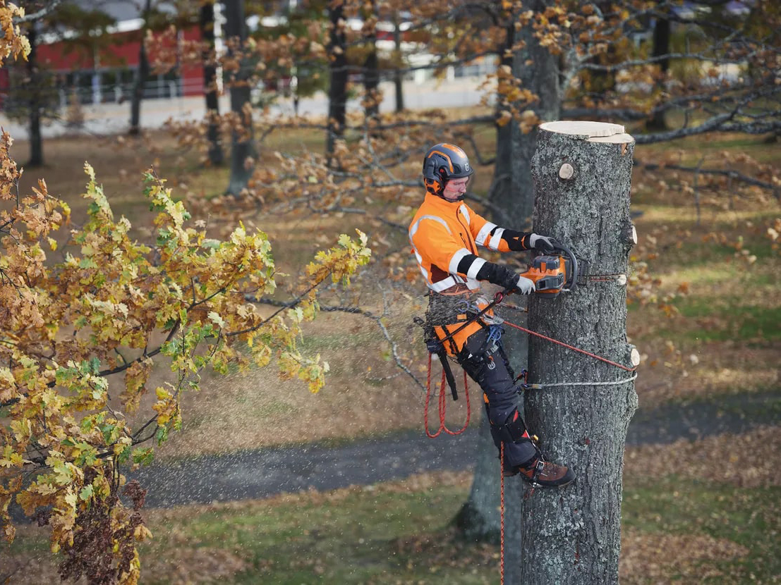 Husqvarna Power Equipment 550i XP 20 in. C33 - B330X-C500X-KIT (battery and charger included) in Saint Maries, Idaho - Photo 8
